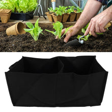 Carica l'immagine nel visualizzatore di Gallery, Petrus Boonekamp Amaro 0,70 lt.