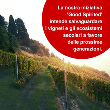 Carica l'immagine nel visualizzatore di Gallery, MARTINI Bianco Vermouth Aperitivo, Vermouth Italiano Infuso con Erbe Aromatiche e Fiori, 14,4% ABV, 100cl / 1L