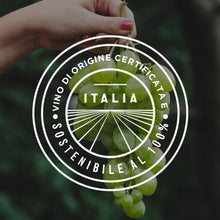 Carica l'immagine nel visualizzatore di Gallery, MARTINI Bianco Vermouth Aperitivo, Vermouth Italiano Infuso con Erbe Aromatiche e Fiori, 14,4% ABV, 100cl / 1L