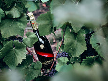 Carica l'immagine nel visualizzatore di Gallery, G.H. Mumm Grand Cordon Champagne, Vitigno Pinot Noir, 12% Vol., 75 Cl