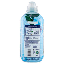 Carica l'immagine nel visualizzatore di Gallery, Coccolino Ammorbidente Concentrato Sandalo e Caprifoglio, Ammorbidente Lavatrice Intense Care con Tecnologia Pro-Fibre, Formato Fino a 336 Lavaggi, 8 Pezzi da 980 ml