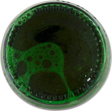 Carica l'immagine nel visualizzatore di Gallery, , Birra Bottiglia - Pacco Da 12X50Cl