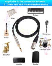 Carica l'immagine nel visualizzatore di Gallery, Cavo XLR Maschio a Jack 6,35Mm, 1M Jack 6,35Mm Stereo TRS Bilanciato Maschio a X