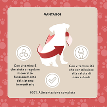 Carica l'immagine nel visualizzatore di Gallery, Marchio Amazon - Alimento Completo per Cani Adulti - Selezione Di Carne in Gela