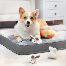 Carica l'immagine nel visualizzatore di Gallery, - Giocattolo in Peluche per Cani, Gioco Del Nascondino Con Coniglio E Carota Con