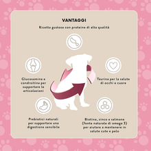 Carica l'immagine nel visualizzatore di Gallery, Marchio Amazon - Complete - Alimento Secco Completo per Cani Adulti (Razze Di P