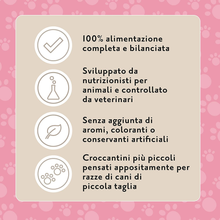 Carica l'immagine nel visualizzatore di Gallery, Marchio Amazon - Complete - Alimento Secco Completo per Cani Adulti (Razze Di P