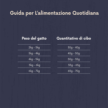 Carica l'immagine nel visualizzatore di Gallery, Marchio Amazon - Alimento Secco per Gatti Adulti Sterilizzati Con Pollo Fresco,