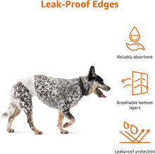 Carica l'immagine nel visualizzatore di Gallery, , Pannolini Usa E Getta per Cani Maschi - M, Confezione Da 50