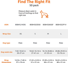 Carica l'immagine nel visualizzatore di Gallery, , Pannolini Usa E Getta per Cani Maschi - M, Confezione Da 50