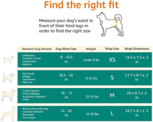 Carica l'immagine nel visualizzatore di Gallery, , Pannolini Usa E Getta per Cani Maschi - M, Confezione Da 50
