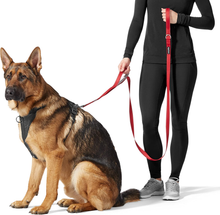 Carica l'immagine nel visualizzatore di Gallery, - Guinzaglio Imbottito per Cani, Con Doppia Maniglia, 1,8 M, Nero