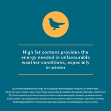 Carica l'immagine nel visualizzatore di Gallery, - Palle Di Grasso Con Insetti per Uccelli Selvatici Senza Retina, 50 X 90G