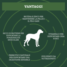 Carica l'immagine nel visualizzatore di Gallery, Marchio Amazon - - Alimento Secco Completo per Cani Adulti Ricco Di Agnello E R