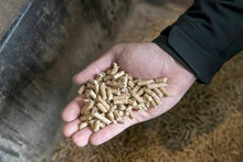 Carica l'immagine nel visualizzatore di Gallery, Pellet legna di faggio e abete, 10 sacchi da 15kg classe A1cerT.KG150+fulyco omg