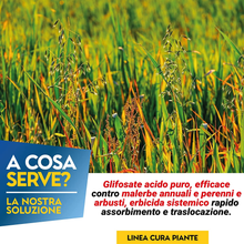 Carica l'immagine nel visualizzatore di Gallery, - Diserbante Totale Glifosate Gliphogan Top Erbicida per Diserbo Erbacce Ad Azio