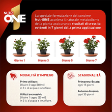 Carica l'immagine nel visualizzatore di Gallery, Nutrione Concime Concentrato per Piante E Fiori, 1 Litro, 1000 Unità