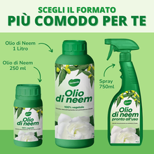 Carica l'immagine nel visualizzatore di Gallery, Olio Di Neem Spray per Piante 750Ml Pronto Uso Azione Naturale Contro Varie Avve