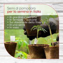 Carica l'immagine nel visualizzatore di Gallery, Kit Semi Orto: 6 Semi Di Pomodori Stravaganti E Antichi [ Istruzioni in Italiano
