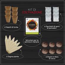 Carica l'immagine nel visualizzatore di Gallery, Kit Semi Orto: 6 Semi Di Pomodori Stravaganti E Antichi [ Istruzioni in Italiano