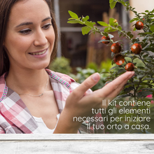 Carica l'immagine nel visualizzatore di Gallery, Kit Semi Orto: 6 Semi Di Pomodori Stravaganti E Antichi [ Istruzioni in Italiano