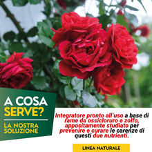 Carica l'immagine nel visualizzatore di Gallery, - Rame + Zolfo Spray 1 Litro - Concime Effetto Fungicida Piante Contro Le Malatt