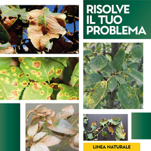 Carica l'immagine nel visualizzatore di Gallery, - Rame + Zolfo Spray 1 Litro - Concime Effetto Fungicida Piante Contro Le Malatt