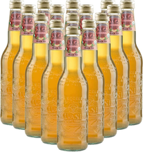 Carica l'immagine nel visualizzatore di Gallery, Tee Pfirsich Bio 12 Glas Flaschen Geschnitzt 355 ML Excellence Italienische
