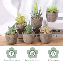 Carica l'immagine nel visualizzatore di Gallery, Pflanze Kunstleder, 6 Stücke Fälschung Kunstpflanze Sukkulenten IN Topf A