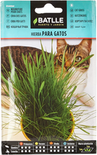 Carica l'immagine nel visualizzatore di Gallery, Battle - Samen Duftteelichter Gras für Katzen ( Samen - 10-15Cm)