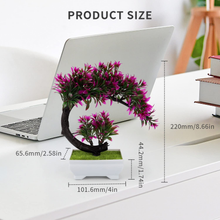 Carica l'immagine nel visualizzatore di Gallery, Pflanze Innen- Fnta ,Bonsai Kunstpflanze,Kleine Bildermappe Schreibtisch,Natur