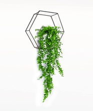 Carica l'immagine nel visualizzatore di Gallery, Satz Von 2 Pflanzen Hängende Künstliche Kunstblumen Silberfarbene Mit Vasen Weiß