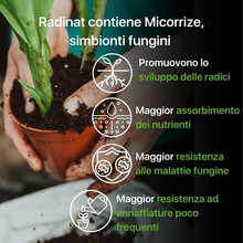 Carica l'immagine nel visualizzatore di Gallery, Radinat Poudre L'Enracinement pour Boutures 100% Naturel, Avec Champignons