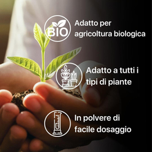 Carica l'immagine nel visualizzatore di Gallery, Radinat Poudre L'Enracinement pour Boutures 100% Naturel, Avec Champignons