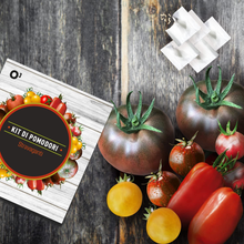 Carica l'immagine nel visualizzatore di Gallery, Kit Samen Gemüsegarten: 6 Von Tomaten Extravagant Und Alte [Anleitung IN Italy
