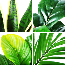 Carica l'immagine nel visualizzatore di Gallery, Artificial Plants 40cm Monstera / Snake Plant / Areca Palm