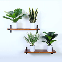 Carica l'immagine nel visualizzatore di Gallery, Artificial Plants 40cm Monstera / Snake Plant / Areca Palm