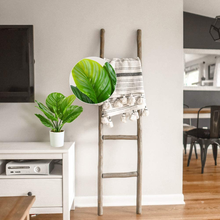 Carica l'immagine nel visualizzatore di Gallery, Artificial Plants 40cm Monstera / Snake Plant / Areca Palm