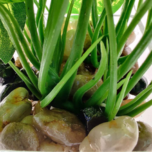 Carica l'immagine nel visualizzatore di Gallery, Satz Von 3 Kunstpflanze Faux aus Tabelle Grün Mit Vasen Im Glas Transparent P