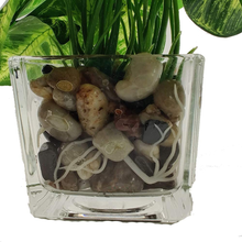 Carica l'immagine nel visualizzatore di Gallery, Satz Von 3 Kunstpflanze Faux aus Tabelle Grün Mit Vasen Im Glas Transparent P