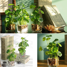 Carica l'immagine nel visualizzatore di Gallery, Satz Von 3 Kunstpflanze Faux aus Tabelle Grün Mit Vasen Im Glas Transparent P
