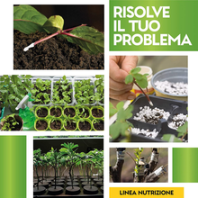 Carica l'immagine nel visualizzatore di Gallery, Hormone L'Enracinement pour Boutures Et Plantes Vert Universelle - Augmente Le