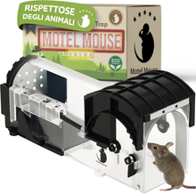 Carica l'immagine nel visualizzatore di Gallery, Trap für Mäuse Lebendfalle Die Nicht Tötet Mouse Trap Mehrweg Mensch Käfig Top