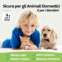 Carica l'immagine nel visualizzatore di Gallery, Piège pour Souris Vivi Que Tu Ne Tue Souris Piège Réutilisable Humaine Cage Top