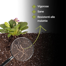 Carica l'immagine nel visualizzatore di Gallery, Radinat Staub Hormon für Stecklinge 100% Natürliche, Mit Pilze