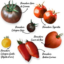 Carica l'immagine nel visualizzatore di Gallery, Ensemble Pépins Potager: 6 Graines De Tomates, Style Funky Et Anciens [Notice En