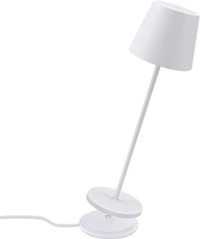 Carica l'immagine nel visualizzatore di Gallery, Lampe LED Dimmable de Table en Aluminium, H38Cm ,Rechargeable Couleur Lumière C