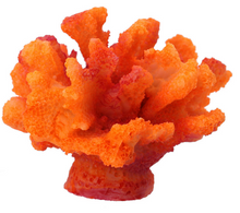 Carica l'immagine nel visualizzatore di Gallery, simulazione di stelle marine di corallo simulazione di stelle marine coral starfish