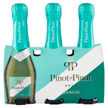 Carica l&#39;immagine nel visualizzatore di Gallery, Gancia Pinot Di Pinot Brut, 60cl
