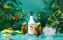 Carica l&#39;immagine nel visualizzatore di Gallery, Malibu Coconut Rum - 1 L
